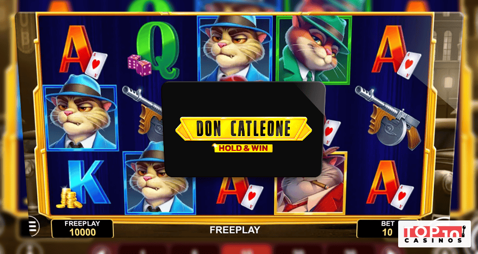 Don Catleone Hold and Win