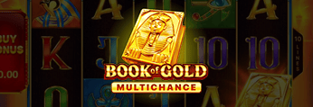 Book of Gold Multichance