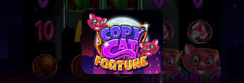 Copy Cat Fortune