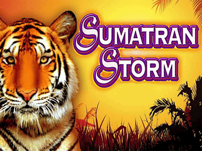 Sumatran Storm