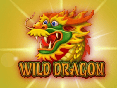 Wild Dragon