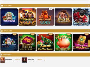 Bet Rophy Casino software screenshot
