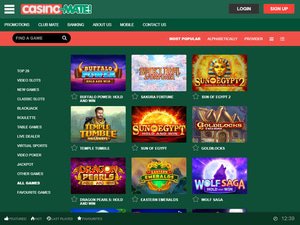 Casino Mate software screenshot