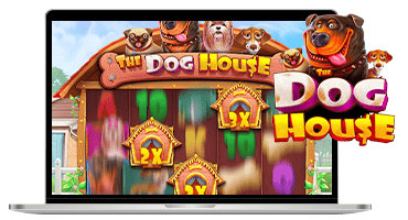 dog house slot