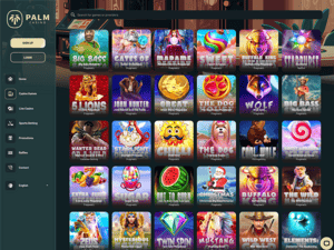 Palm Casino software screenshot