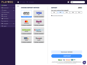 Playoro Casino cashier screenshot