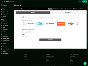 Pure Casino cashier screenshot