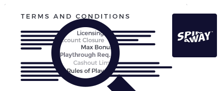 spin away terms and conditions