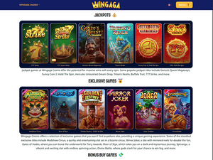 Wingaga software screenshot