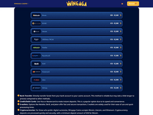 Wingaga cashier screenshot